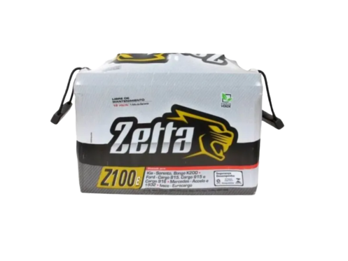 zetta-carro.png